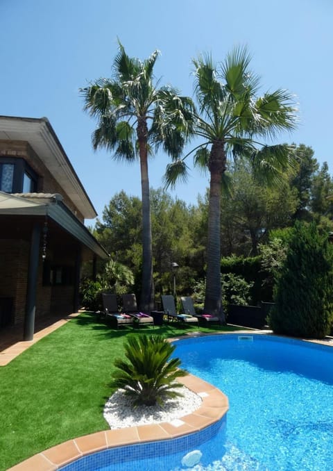 Garden, Pool view, Swimming pool