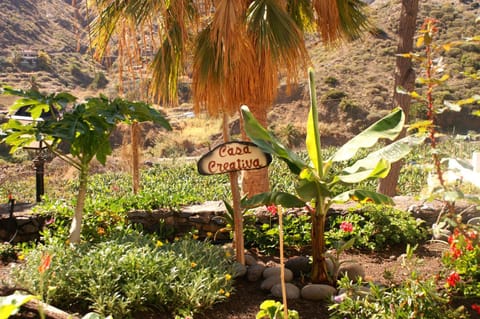 Garden, Mountain view