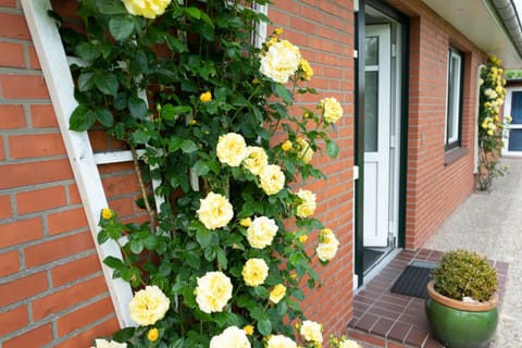 Haus Kölfhamm Apartment in Sankt Peter-Ording