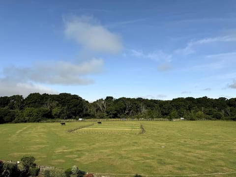 Spring, Day, Natural landscape, View (from property/room)