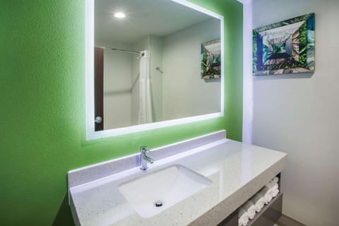 Bathroom, Photo of the whole room, On site