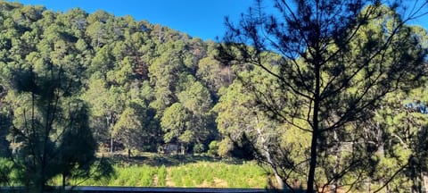 Cabañas las Alazanas Campground/
RV Resort in State of Michoacán