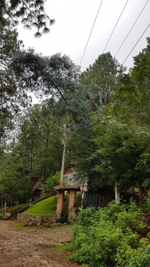 Cabañas las Alazanas Campground/
RV Resort in State of Michoacán