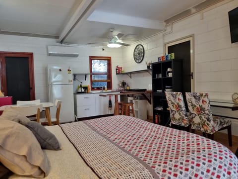 Bed, Kitchen or kitchenette, Photo of the whole room, fireplace, air conditioner