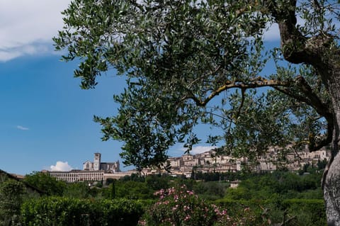 Nearby landmark, Natural landscape