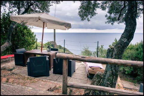 Patio, Sea view