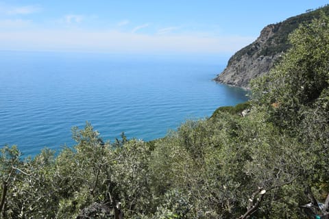 Corner of Paradise near Cinque Terre Apartment in Framura