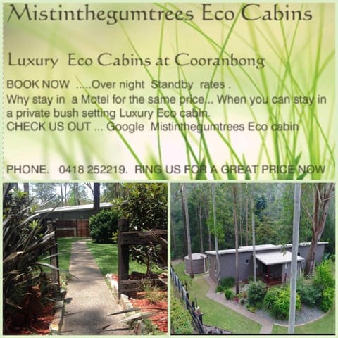 Mistinthegumtrees Eco Luxury Cabins Albergue natural in Cooranbong