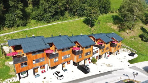 Bird's eye view, Garden, Garden view