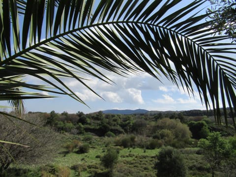 Natural landscape, Garden, On site