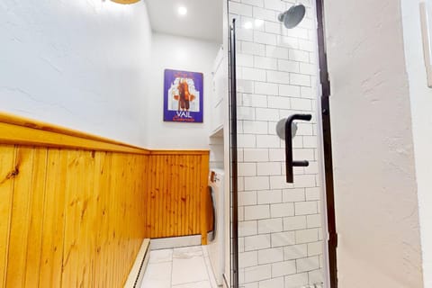 Meadow Creek House in Frisco