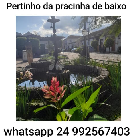 Spring, Natural landscape, Garden, Garden view