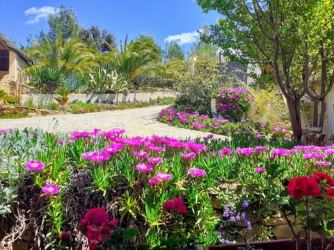 Gîte Vue Mer Condo in La Ciotat