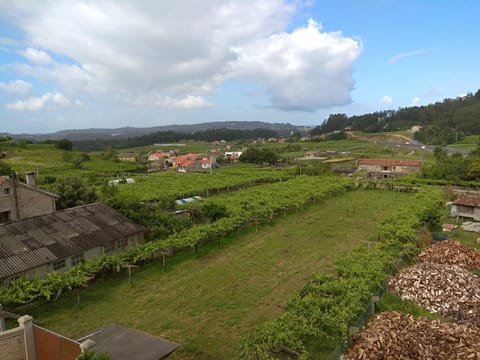 Natural landscape, Bird's eye view