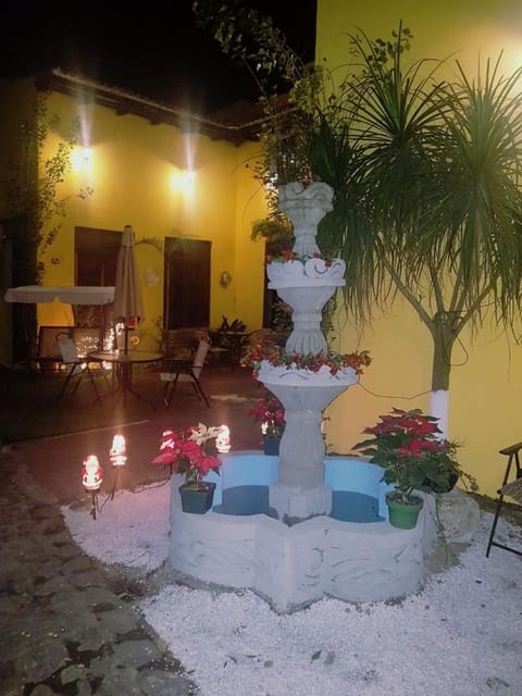 Patio, Night, Garden