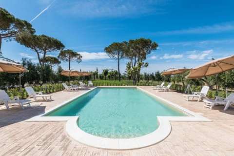 Garden, Pool view, Swimming pool, sunbed