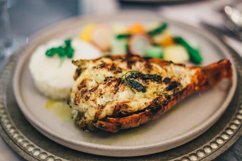 Food and drinks, Food, Lunch, Dinner