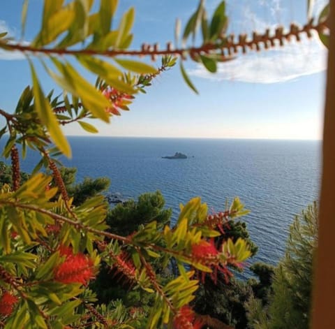 Vicky's Panoramic View Apartments Apartment in Corfu, Greece