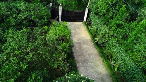 Guesthouse Green Oasis Bed and Breakfast in Batumi