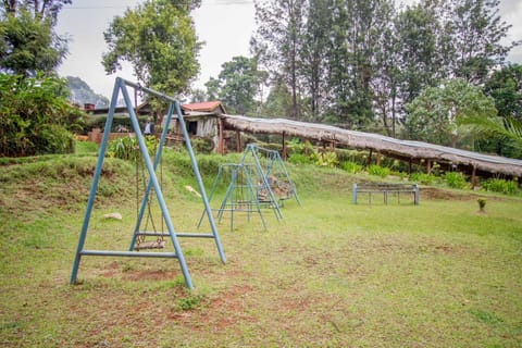 Children play ground