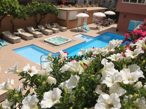 Decorative detail, Pool view, Swimming pool