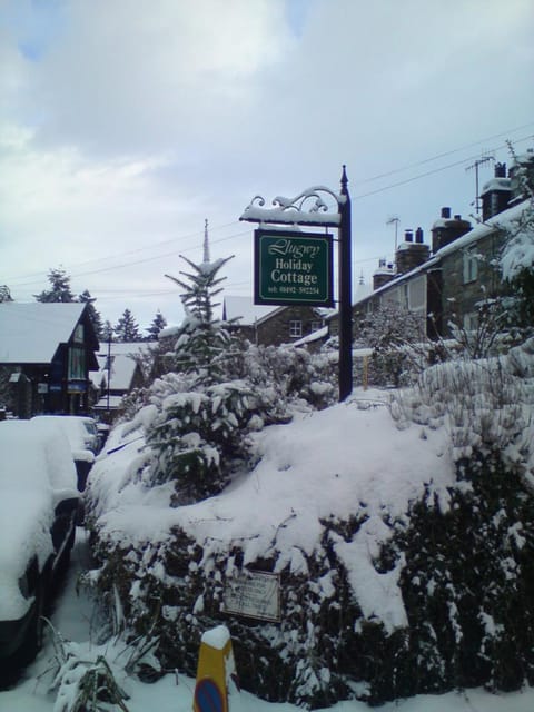 Winter, Garden view