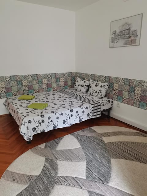 Try the Central Feeling Apartment in Timisoara