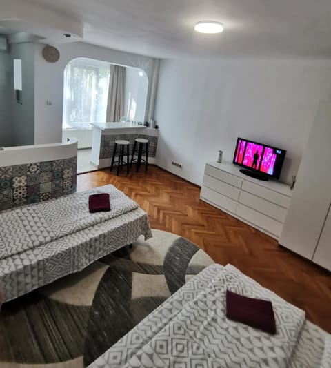 Try the Central Feeling Apartment in Timisoara