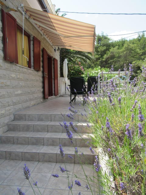 Neighbourhood, Natural landscape, Garden, Balcony/Terrace, Balcony/Terrace, Beach, On site, Sea view, Street view