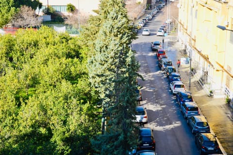 Property building, Bird's eye view