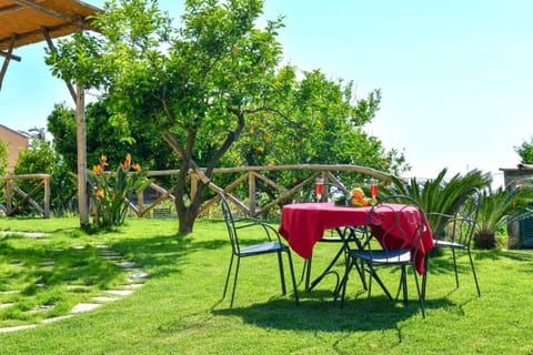 Patio, Garden, Garden view