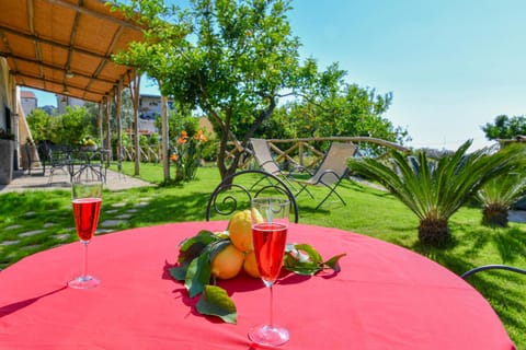 Patio, Garden, Garden view