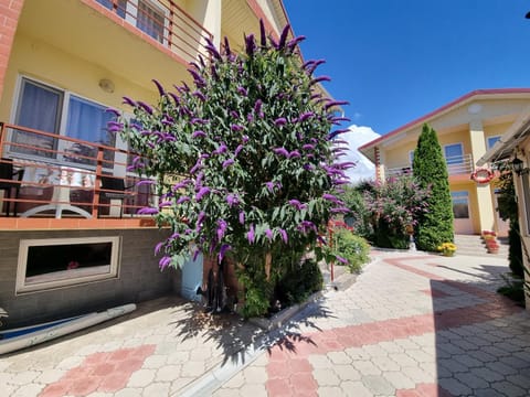 Property building, Inner courtyard view