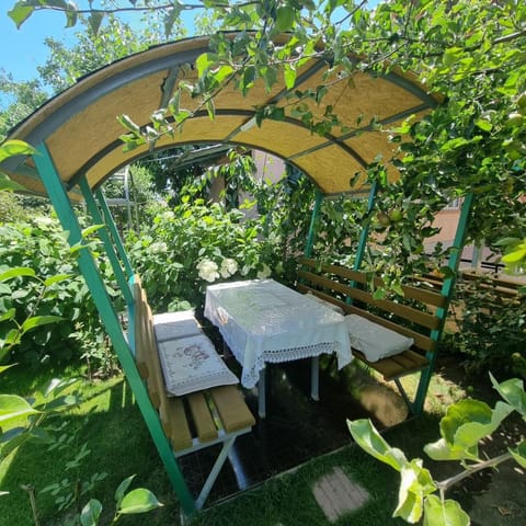 Dining area, Garden view