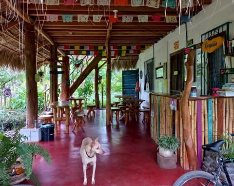 La Urraca Loca Hostel Hostel in Nicaragua