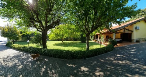 VILLA CECILIA sul LAGO fronte MARE House in Lazio