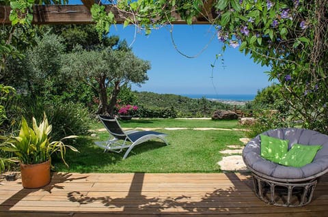 Above the Sea Bed and Breakfast in Haifa District