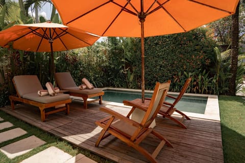 Garden, Seating area, Garden view, Pool view, Swimming pool, sunbed