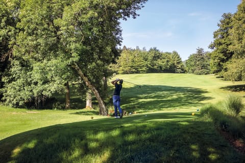 Natural landscape, Golfcourse