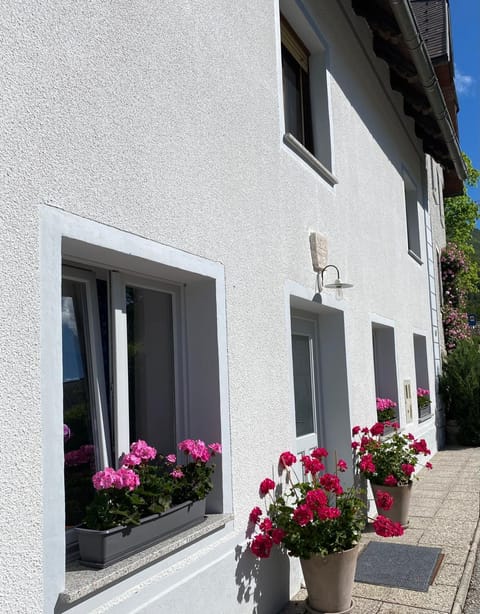 House Natura with garden Copropriété in Bovec