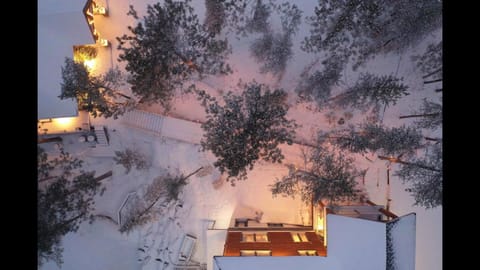 Property building, Bird's eye view, Winter