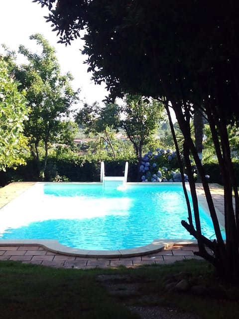 Garden, Swimming pool, Swimming pool