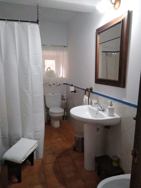 Toilet, Bathroom, Photo of the whole room