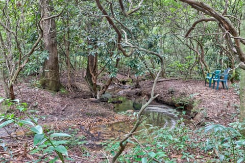 Four Cubs in the Creek House in White County