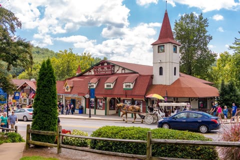 Buckhorn Maison in White County