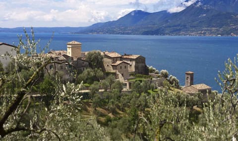 Neighbourhood, Natural landscape, City view, Landmark view, Street view