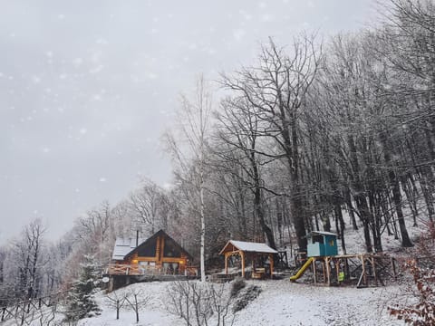 Green Cottage Villa in Brașov County