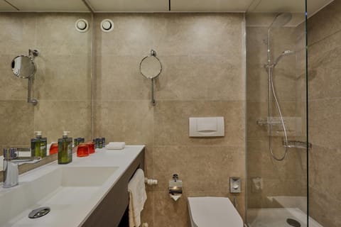 Shower, Toilet, Bathroom, Decorative detail