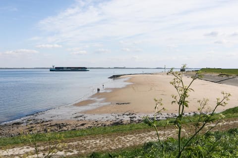 Day, Natural landscape, Beach