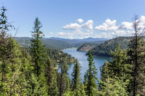 Mountain Lake Getaway (B101) Condo in Kootenai County